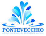 Pontevecchio srl Logo